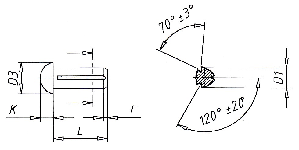 DIN 1476 Notch Nails