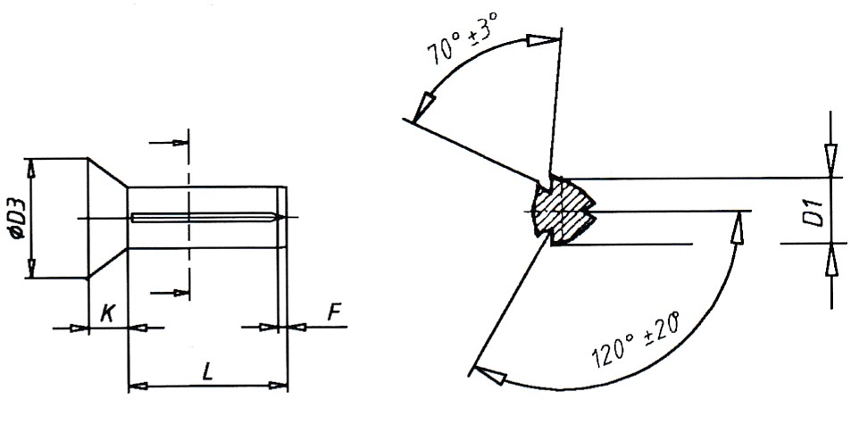DIN 1477 Beveled Notch Nails