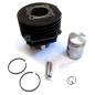 Preview: Cylinder kit with reed valve intake SACHS, 38 mm