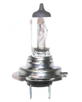 Glühlampe 12V 55W H7