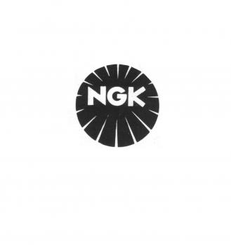 Spark plug NGK BCPR6ES