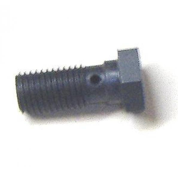 Hollow screw