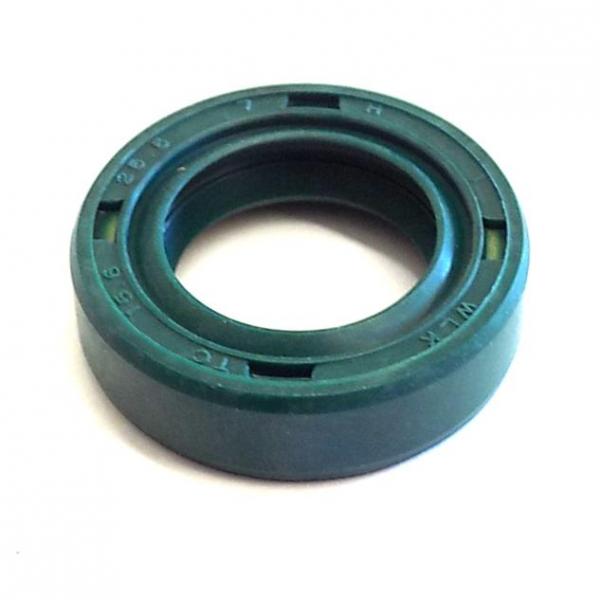 Shaft seal 15.6 x 25.5 x 7 DGS