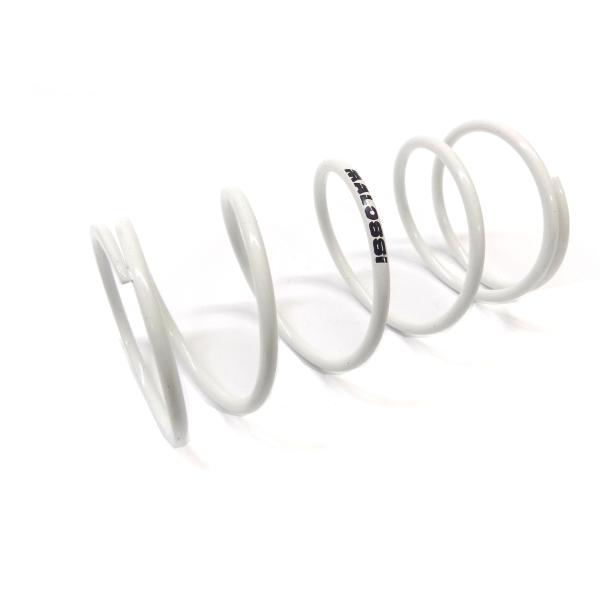 Counter-pressure spring, Malossi