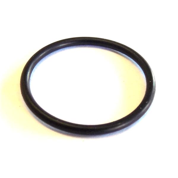 O-Ring 19 x 1,5 mm NBR70