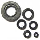 Engine sealing ring set HONDA